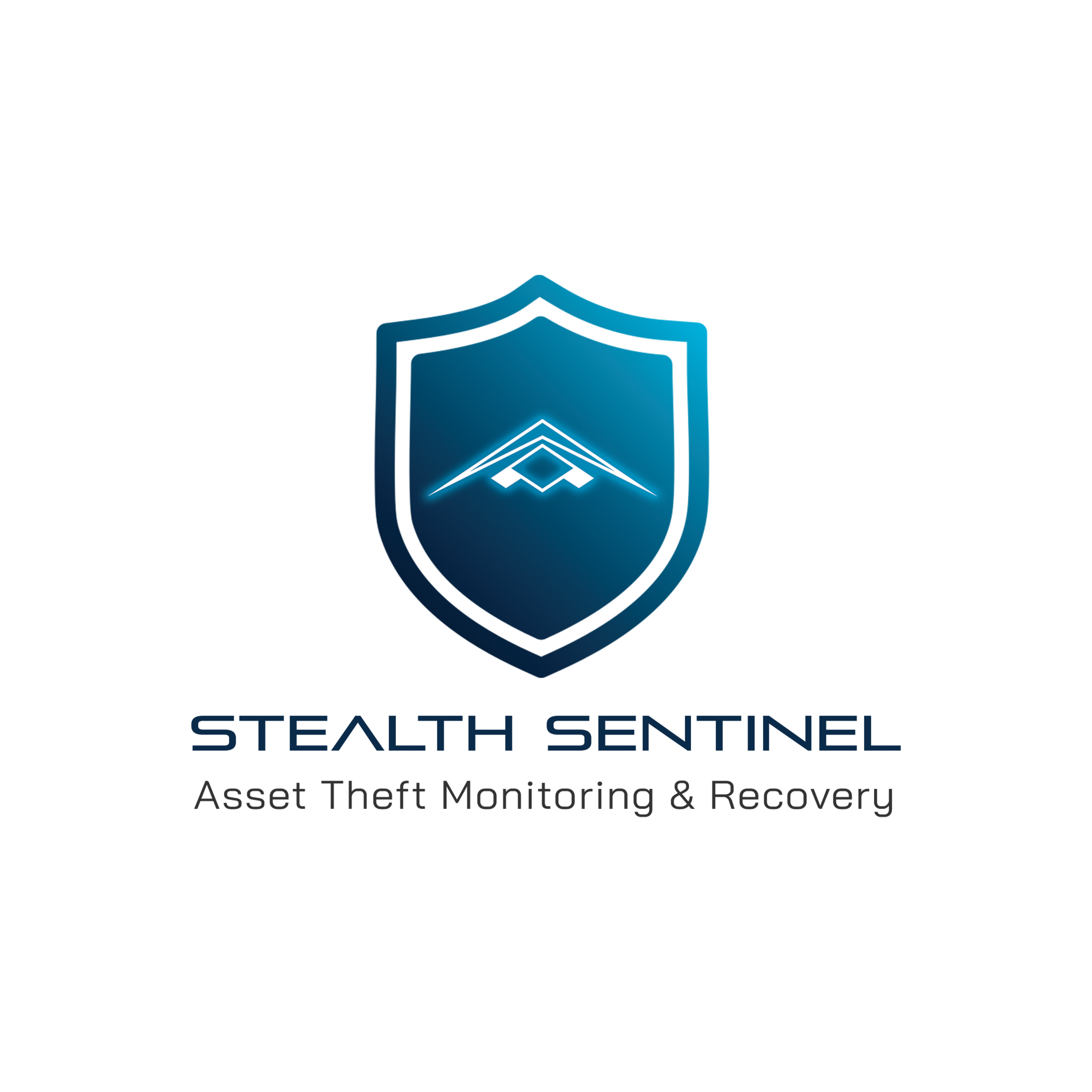 Stealth Sentinel Subscription Packages